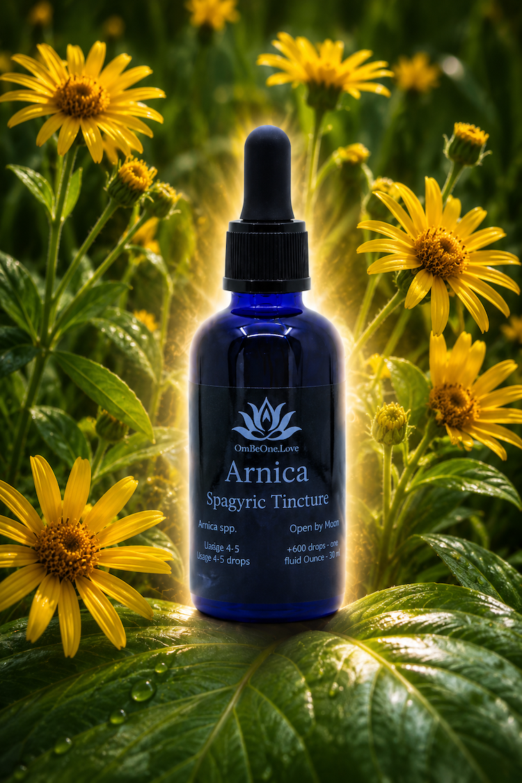 Arnica Spagyric