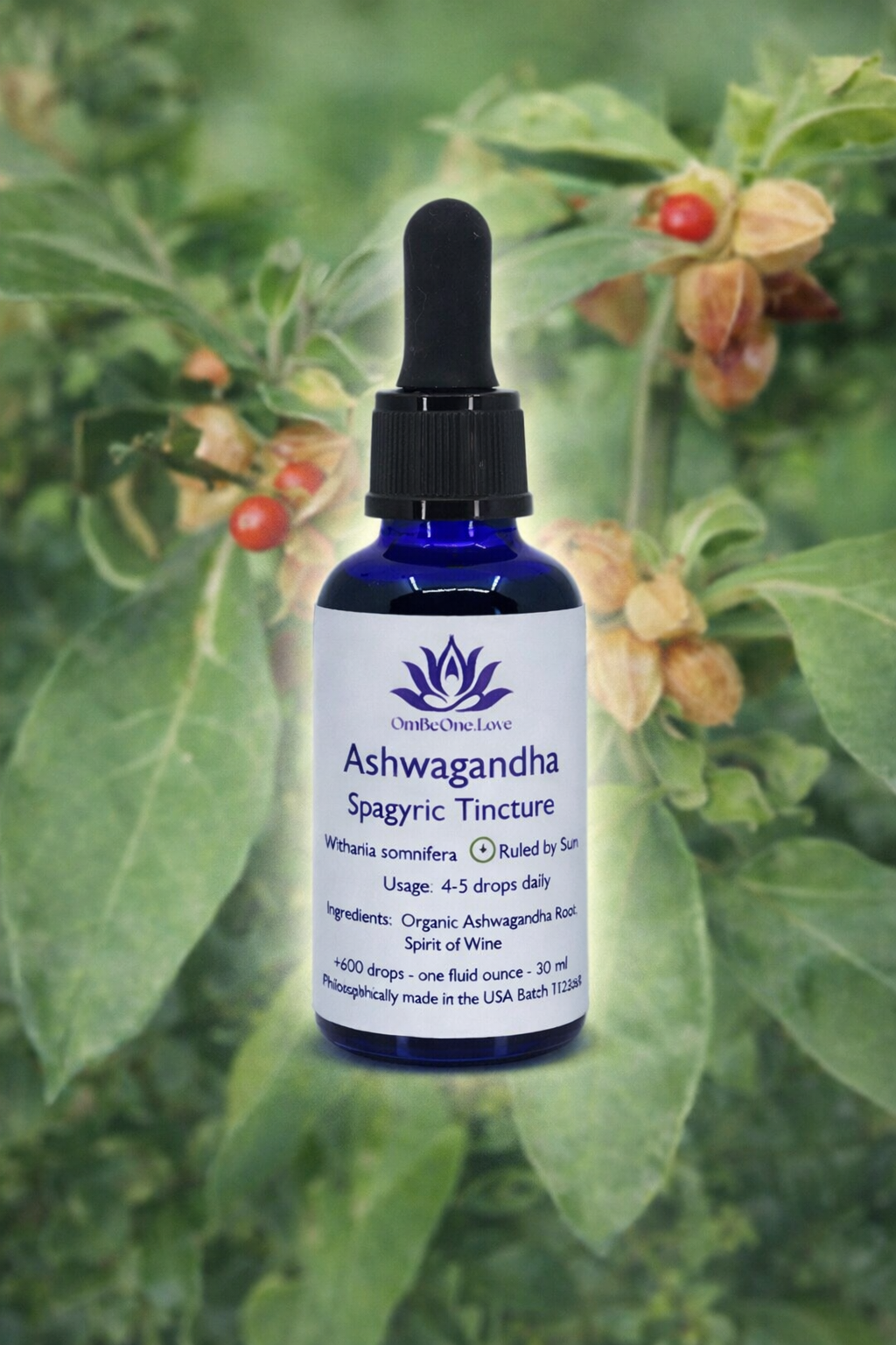 Ashwagandha Spagyric Elixir