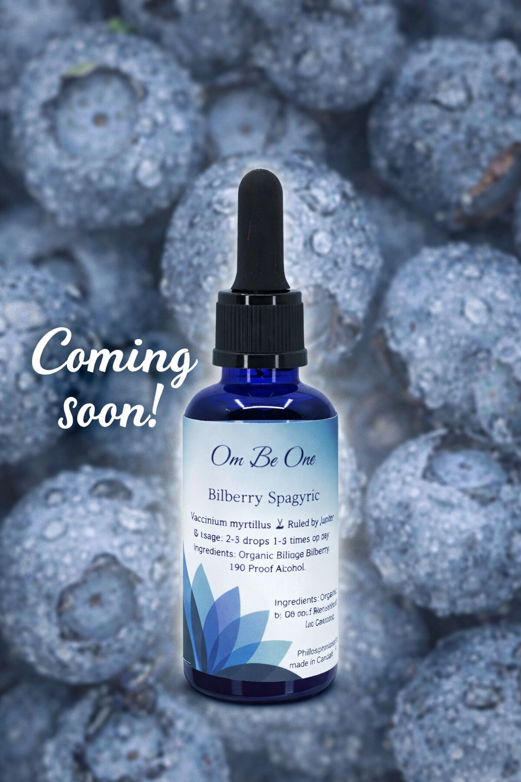 Bilberry Spagyric Elixir