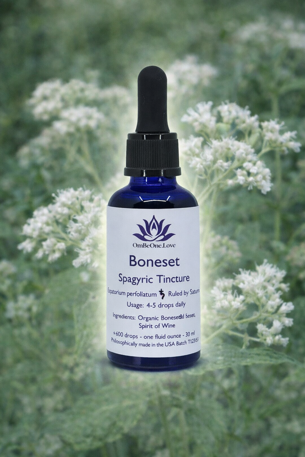 Boneset Spagyric Elixir