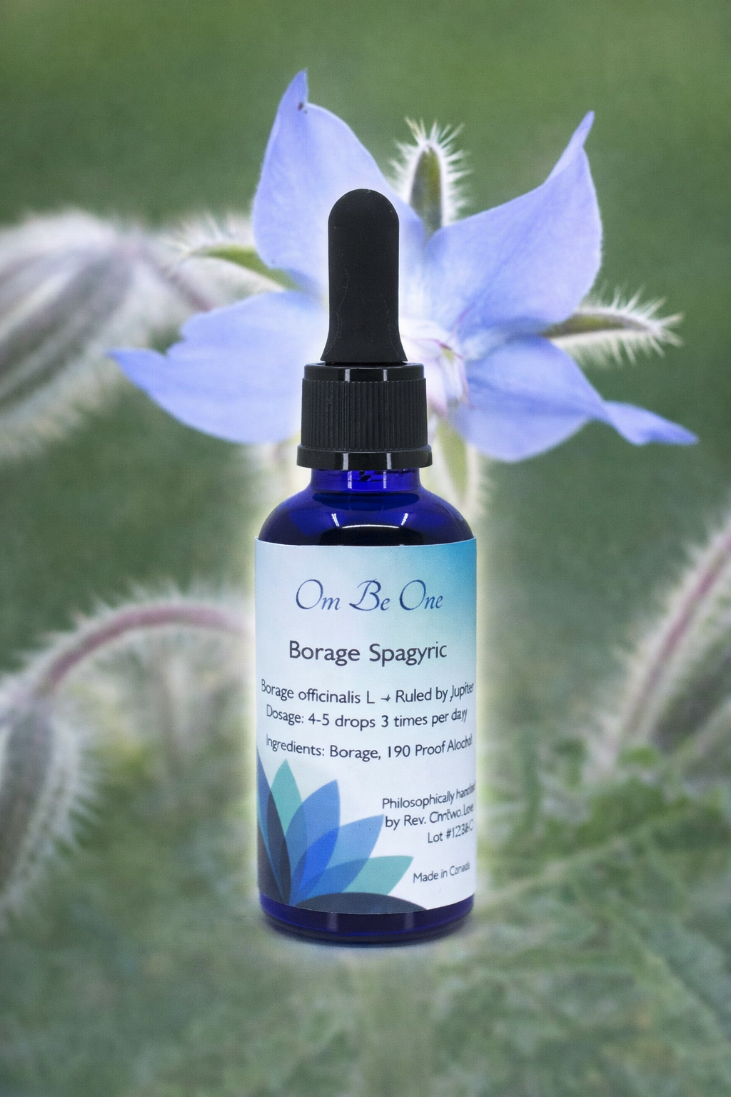 Borage Spagyric Elixir