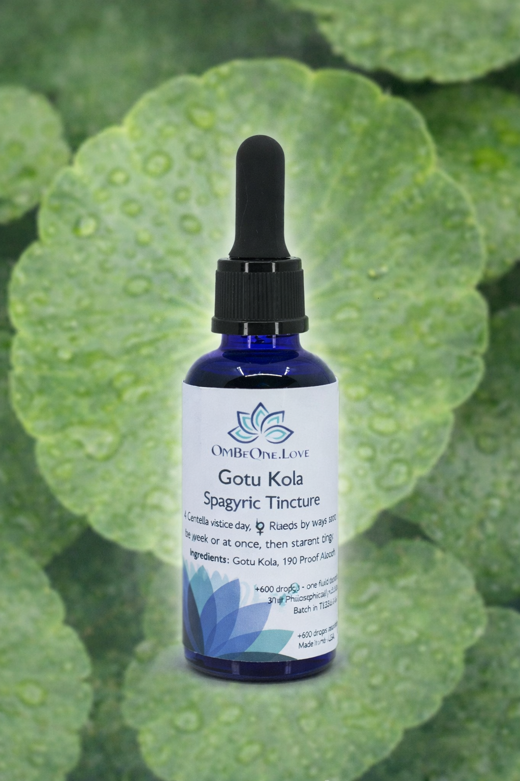 Gotu Kola Spagyric Elixir