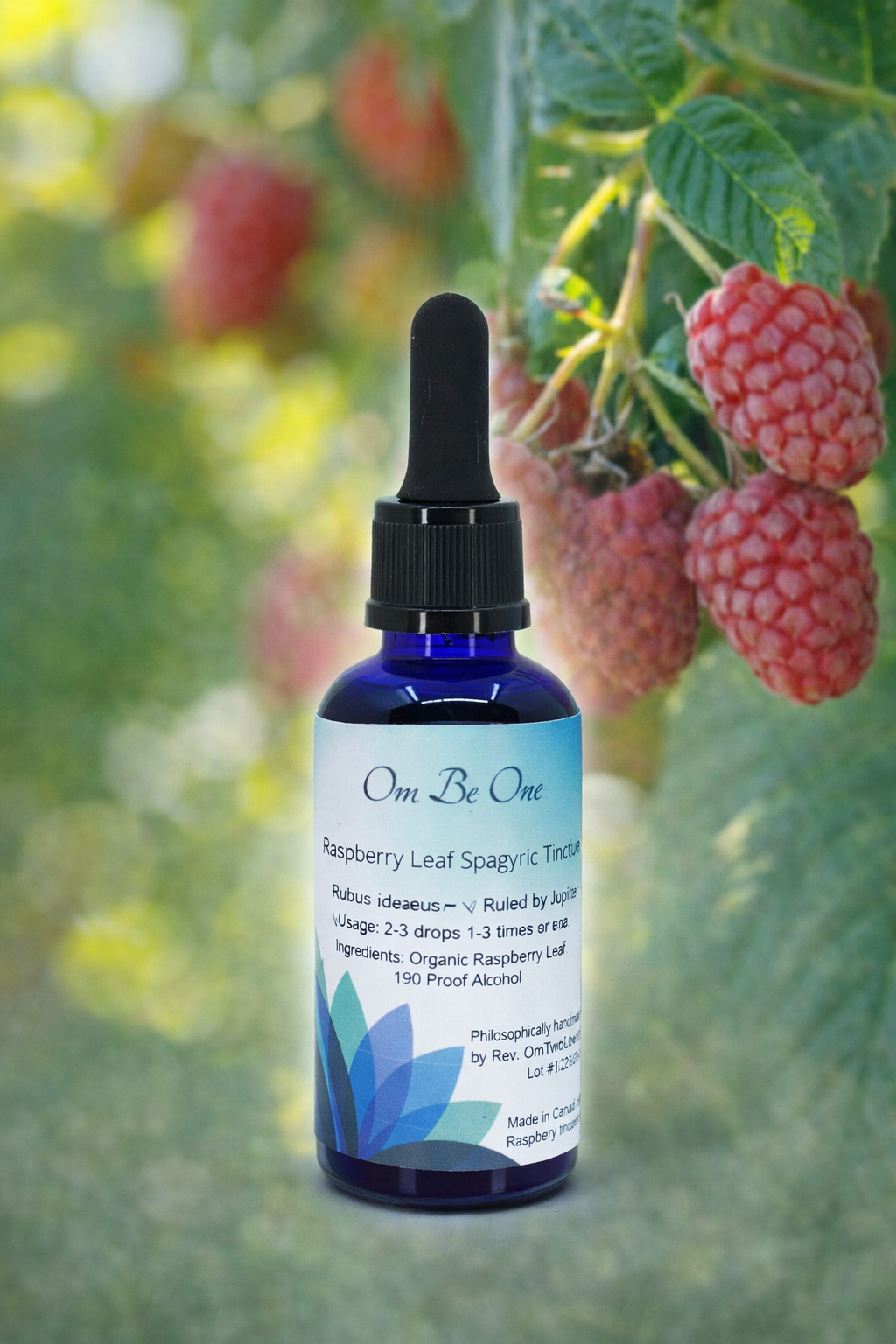 Raspberry Leaf Spagyric Elixir