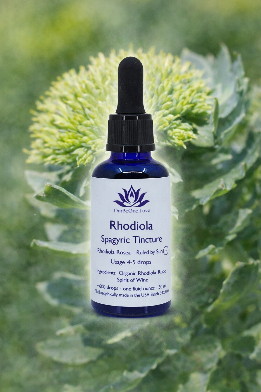 Rhodiola Spagyric Elixir