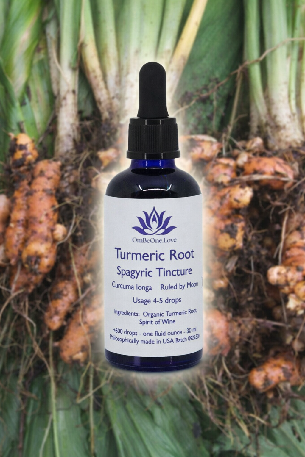 Activated Turmeric Spagyric Elixir